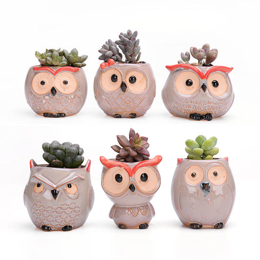 Ceramic Owl Planters Natural – Air Plant Pots with Live Air Plants