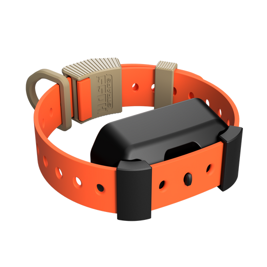 Training Collar Setup