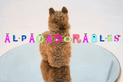 Alpacadorable Hand Made Baby Alpaca Ornaments